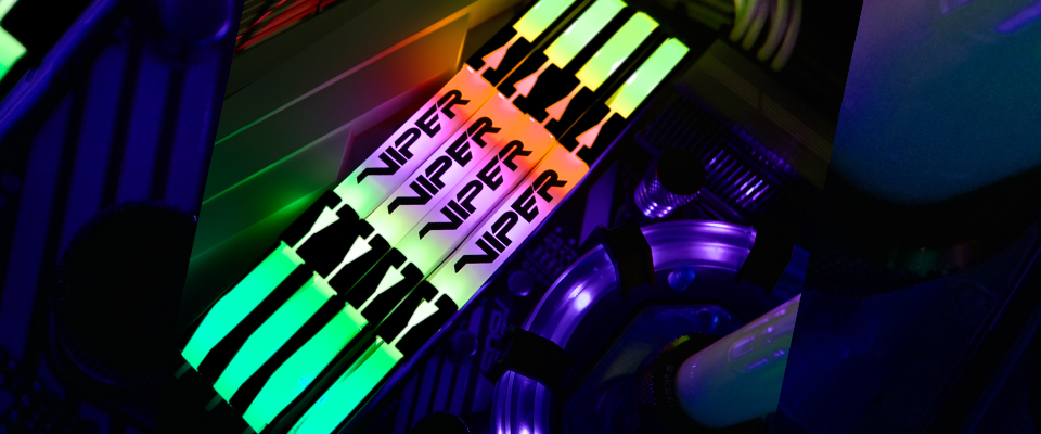 Viper 4